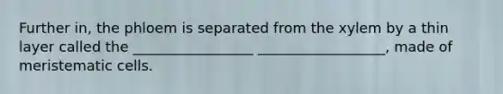 Further in, the phloem is separated from the xylem by a thin layer called the _________________ __________________, made of meristematic cells.