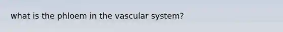 what is the phloem in the vascular system?