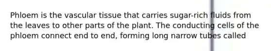 Phloem is the vascular tissue that carries sugar-rich fluids from the leaves to other parts of the plant. The conducting cells of the phloem connect end to end, forming long narrow tubes called