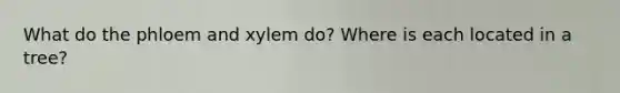 What do the phloem and xylem do? Where is each located in a tree?