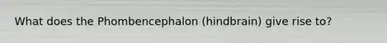 What does the Phombencephalon (hindbrain) give rise to?