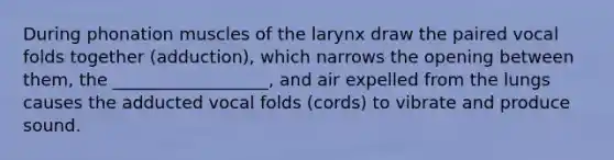 During phonation muscles of the larynx draw the paired vocal folds together (adduction), which narrows the opening between them, the __________________, and air expelled from the lungs causes the adducted vocal folds (cords) to vibrate and produce sound.