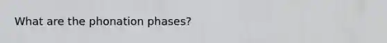 What are the phonation phases?