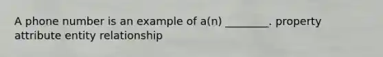 A phone number is an example of a(n) ________. property attribute entity relationship