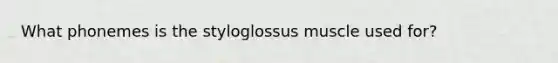 What phonemes is the styloglossus muscle used for?