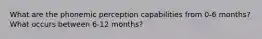 What are the phonemic perception capabilities from 0-6 months? What occurs between 6-12 months?