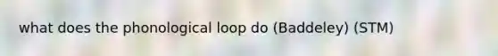 what does the phonological loop do (Baddeley) (STM)