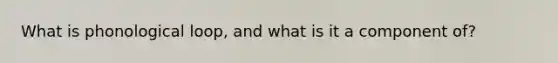 What is phonological loop, and what is it a component of?