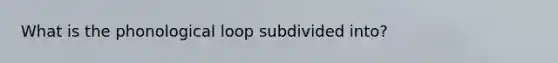 What is the phonological loop subdivided into?