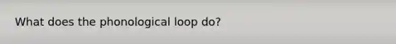 What does the phonological loop do?