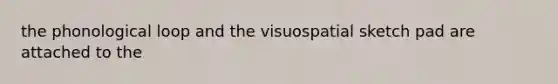 the phonological loop and the visuospatial sketch pad are attached to the