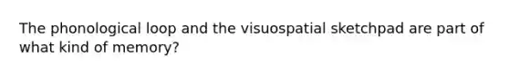 The phonological loop and the visuospatial sketchpad are part of what kind of memory?