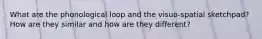 What are the phonological loop and the visuo-spatial sketchpad? How are they similar and how are they different?