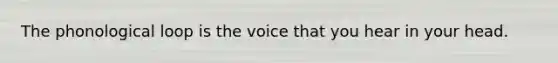 The phonological loop is the voice that you hear in your head.