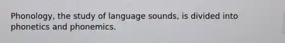 Phonology, the study of language sounds, is divided into phonetics and phonemics.