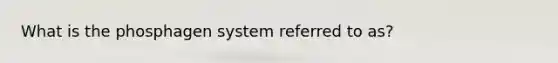 What is the phosphagen system referred to as?