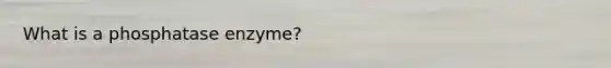 What is a phosphatase enzyme?