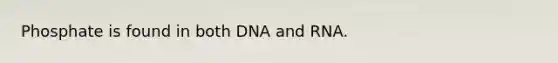 Phosphate is found in both DNA and RNA.