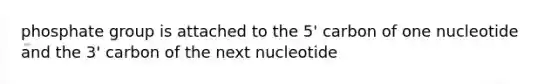 phosphate group is attached to the 5' carbon of one nucleotide and the 3' carbon of the next nucleotide