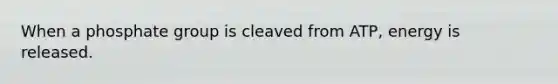 When a phosphate group is cleaved from ATP, energy is released.