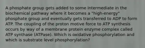 A phosphate group gets added to some intermediate in the biochemical pathway where it becomes a "high-energy" phosphate group and eventually gets transferred to ADP to form ATP. The coupling of the proton motive force to <a href='https://www.questionai.com/knowledge/kx3XpCJrFz-atp-synthesis' class='anchor-knowledge'>atp synthesis</a> occurs by way of a membrane protein enzyme complex called ATP synthase (ATPase). Which is <a href='https://www.questionai.com/knowledge/kFazUb9IwO-oxidative-phosphorylation' class='anchor-knowledge'>oxidative phosphorylation</a> and which is substrate level phosphorylation?