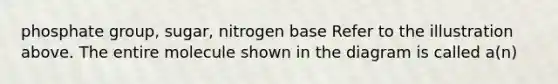 phosphate group, sugar, nitrogen base Refer to the illustration above. The entire molecule shown in the diagram is called a(n)