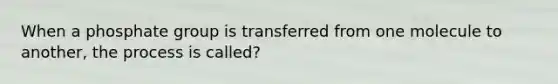 When a phosphate group is transferred from one molecule to another, the process is called?