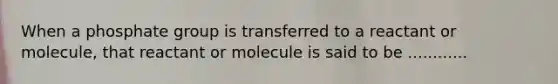 When a phosphate group is transferred to a reactant or molecule, that reactant or molecule is said to be ............