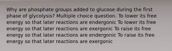 Why are phosphate groups added to glucose during the first phase of glycolysis? Multiple choice question. To lower its free energy so that later reactions are endergonic To lower its free energy so that later reactions are exergonic To raise its free energy so that later reactions are endergonic To raise its free energy so that later reactions are exergonic