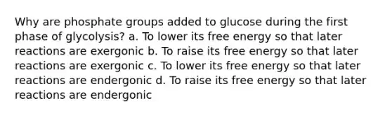 Why are phosphate groups added to glucose during the first phase of glycolysis? a. To lower its free energy so that later reactions are exergonic b. To raise its free energy so that later reactions are exergonic c. To lower its free energy so that later reactions are endergonic d. To raise its free energy so that later reactions are endergonic