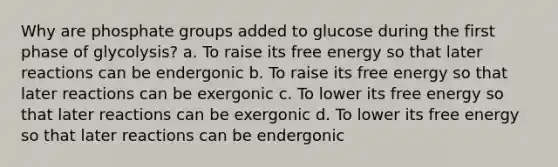 Why are phosphate groups added to glucose during the first phase of glycolysis? a. To raise its free energy so that later reactions can be endergonic b. To raise its free energy so that later reactions can be exergonic c. To lower its free energy so that later reactions can be exergonic d. To lower its free energy so that later reactions can be endergonic