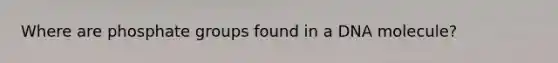 Where are phosphate groups found in a DNA molecule?