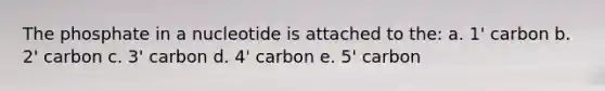 The phosphate in a nucleotide is attached to the: a. 1' carbon b. 2' carbon c. 3' carbon d. 4' carbon e. 5' carbon