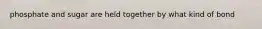 phosphate and sugar are held together by what kind of bond
