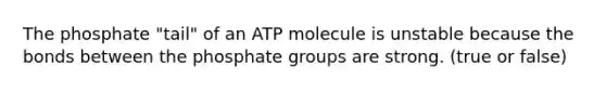 The phosphate "tail" of an ATP molecule is unstable because the bonds between the phosphate groups are strong. (true or false)