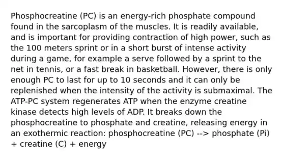 Phosphocreatine (PC) is an energy-rich phosphate compound found in the sarcoplasm of the muscles. It is readily available, and is important for providing contraction of high power, such as the 100 meters sprint or in a short burst of intense activity during a game, for example a serve followed by a sprint to the net in tennis, or a fast break in basketball. However, there is only enough PC to last for up to 10 seconds and it can only be replenished when the intensity of the activity is submaximal. The ATP-PC system regenerates ATP when the enzyme creatine kinase detects high levels of ADP. It breaks down the phosphocreatine to phosphate and creatine, releasing energy in an exothermic reaction: phosphocreatine (PC) --> phosphate (Pi) + creatine (C) + energy