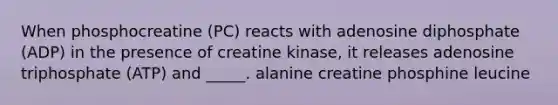 When phosphocreatine (PC) reacts with adenosine diphosphate (ADP) in the presence of creatine kinase, it releases adenosine triphosphate (ATP) and _____. alanine creatine phosphine leucine