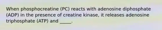 When phosphocreatine (PC) reacts with adenosine diphosphate (ADP) in the presence of creatine kinase, it releases adenosine triphosphate (ATP) and _____.