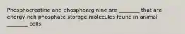 Phosphocreatine and phosphoarginine are ________ that are energy rich phosphate storage molecules found in animal ________ cells.