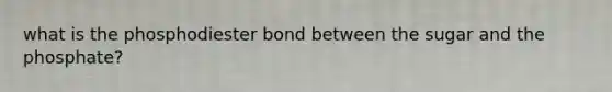 what is the phosphodiester bond between the sugar and the phosphate?