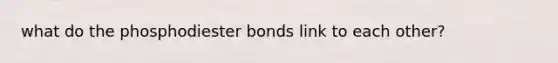 what do the phosphodiester bonds link to each other?