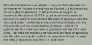 Phosphofructokinase is an allosteric enzyme that catalyzes the conversion of fructose 6-phosphate to fructose 1,6-bisphosphate, an early step of glycolysis. In the presence of oxygen, an increase in the amount of ATP in a cell would be expected to -activate the enzyme and increase the rates of glycolysis and the citric acid cycle. - inhibit the enzyme and thus increase the rate of glycolysis and the concentration of citrate. - inhibit the enzyme and thus slow the rates of glycolysis and the citric acid cycle. - activate the enzyme and thus slow the rates of glycolysis and the citric acid cycle. - inhibit the enzyme and thus increase the rates of glycolysis and the citric acid cycle.