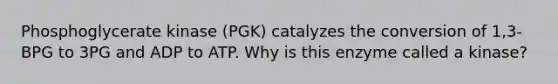 Phosphoglycerate kinase (PGK) catalyzes the conversion of 1,3-BPG to 3PG and ADP to ATP. Why is this enzyme called a kinase?