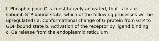 If Phospholipase C is constitutively activated, that is in a α-subunit-GTP bound state, which of the following processes will be upregulated? a. Conformational change of G-protein from GTP to GDP bound state b. Activation of the receptor by ligand binding c. Ca release from the endoplasmic reticulum