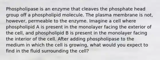 Phospholipase is an enzyme that cleaves the phosphate head group off a phospholipid molecule. The plasma membrane is not, however, permeable to the enzyme. Imagine a cell where phospholipid A is present in the monolayer facing the exterior of the cell, and phospholipid B is present in the monolayer facing the interior of the cell. After adding phospholipase to the medium in which the cell is growing, what would you expect to find in the fluid surrounding the cell?