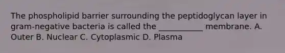 The phospholipid barrier surrounding the peptidoglycan layer in gram-negative bacteria is called the ___________ membrane. A. Outer B. Nuclear C. Cytoplasmic D. Plasma