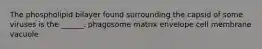 The phospholipid bilayer found surrounding the capsid of some viruses is the ______. phagosome matrix envelope cell membrane vacuole
