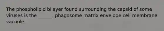 The phospholipid bilayer found surrounding the capsid of some viruses is the ______. phagosome matrix envelope cell membrane vacuole