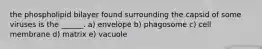 the phospholipid bilayer found surrounding the capsid of some viruses is the ______. a) envelope b) phagosome c) cell membrane d) matrix e) vacuole