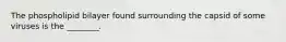The phospholipid bilayer found surrounding the capsid of some viruses is the ________.